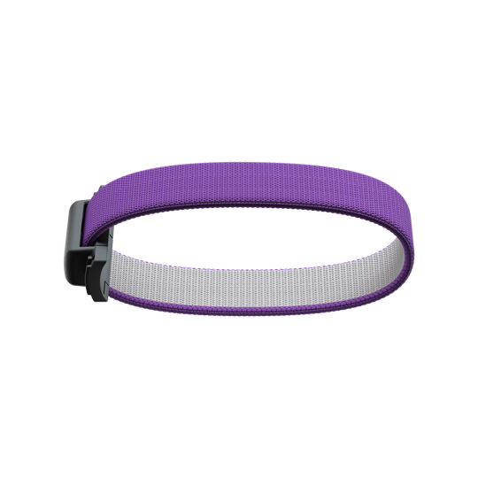 SECRID Add-On Bandwallet