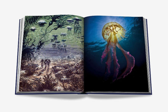 ASSOULINE Ocean Wanderlust