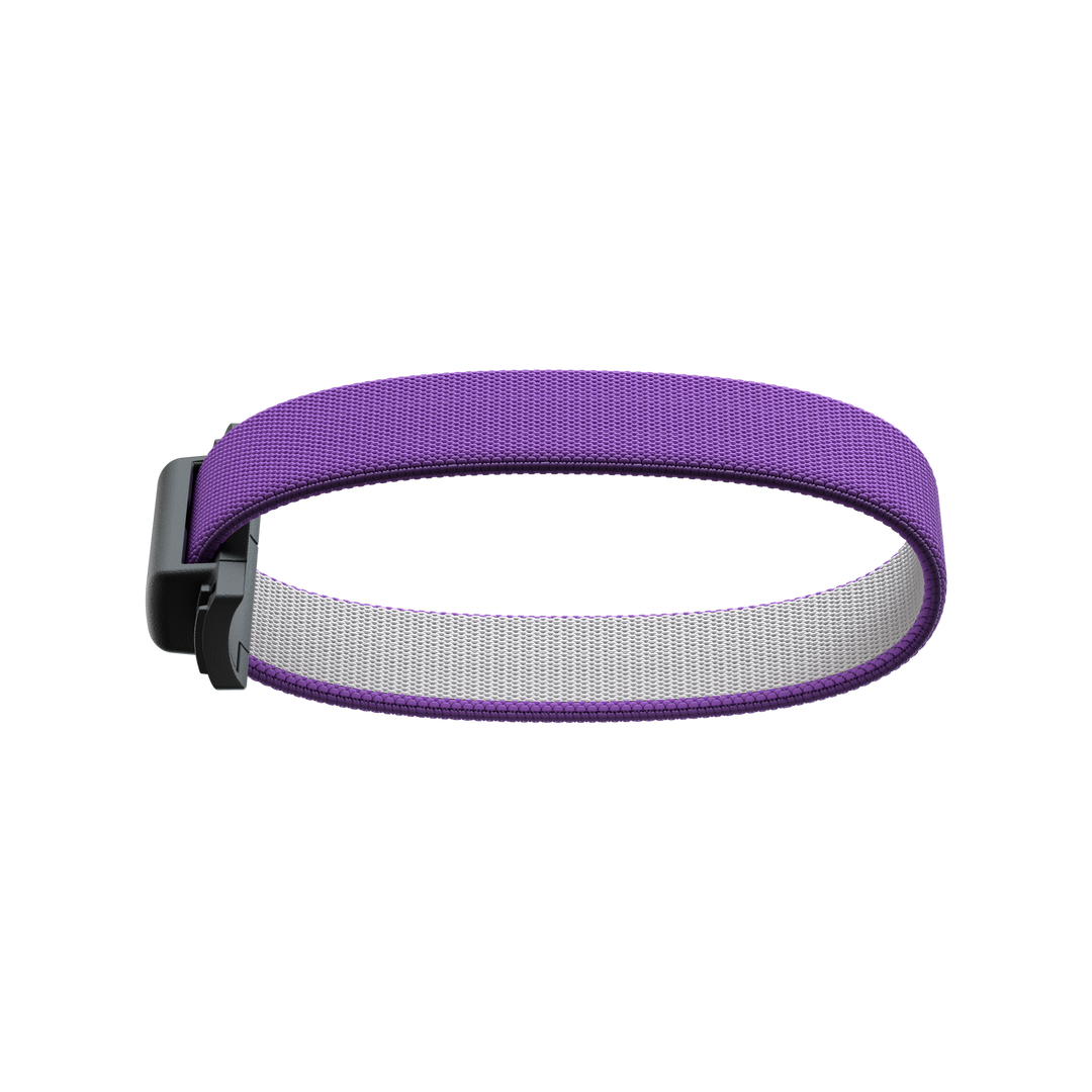 SECRID Add-On Bandwallet