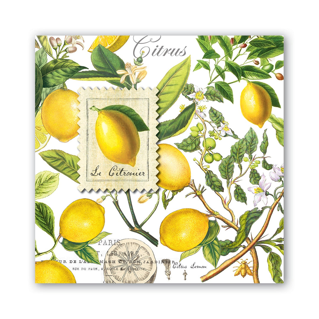 MICHEL DESIGN WORKS Lemon Basil Paper Luncheon Napkins