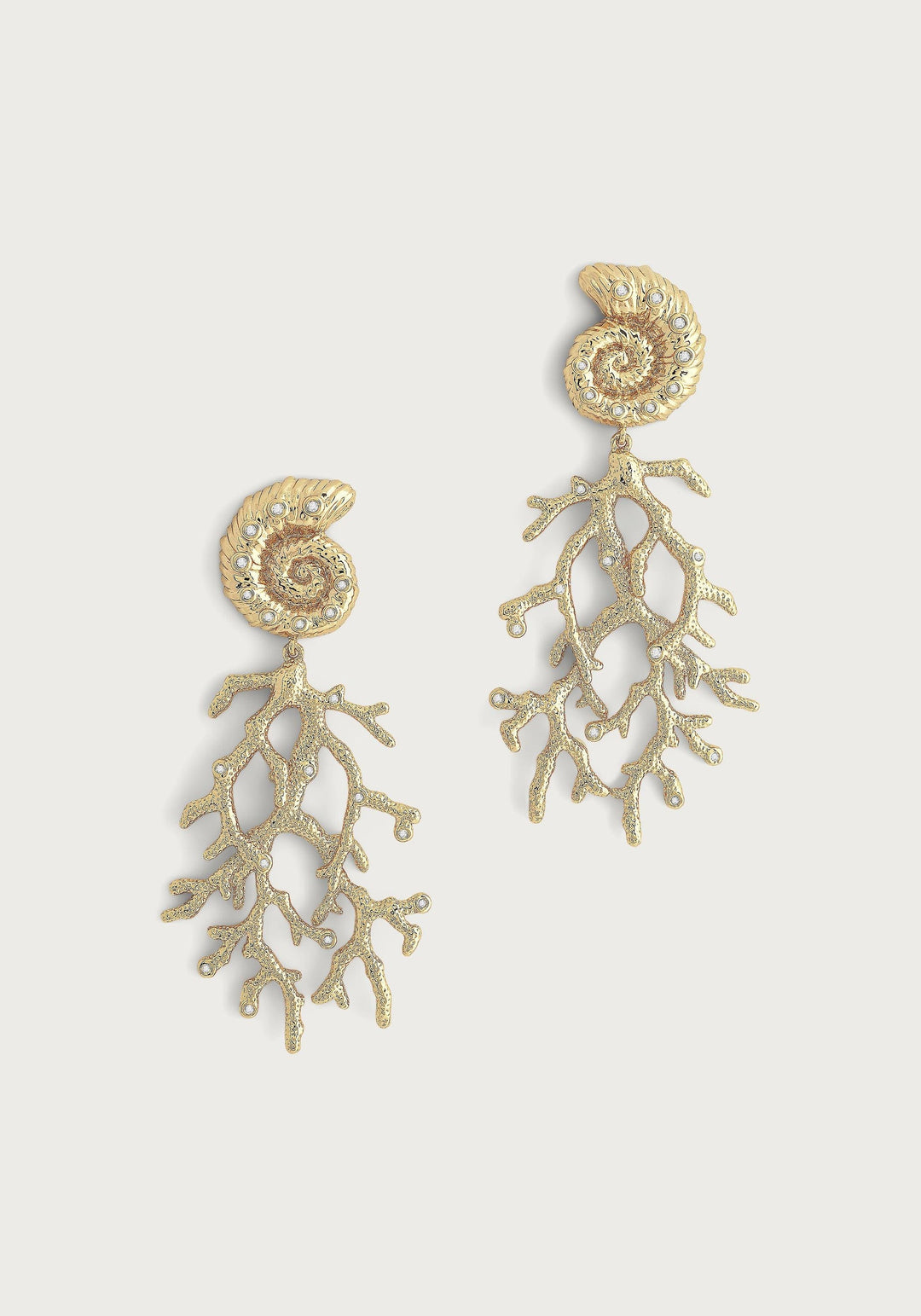 Shell With Coral Drop Earrings