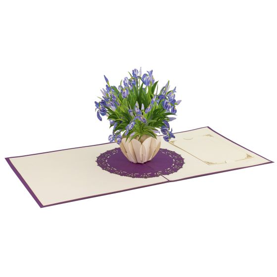 3D pop-up card Iris violet