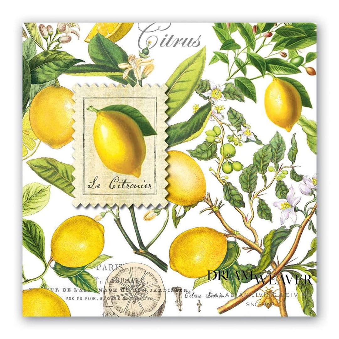 MICHEL DESIGN WORKS Lemon Basil Paper Luncheon Napkins