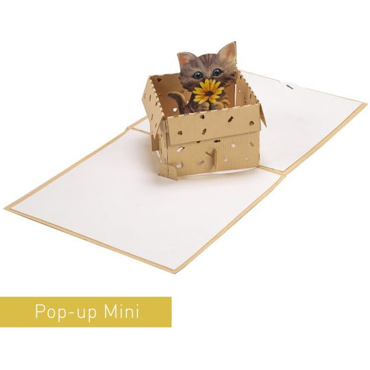 3D Pop-up Mini Brown Cat Card